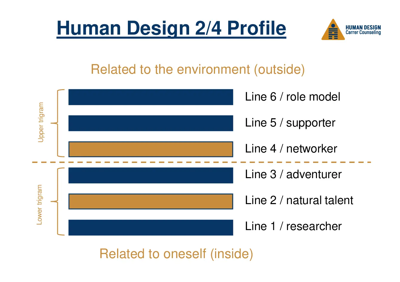 Human Design 2/4 Profile Human Design 2/4 Profile visually explained as a hexagram