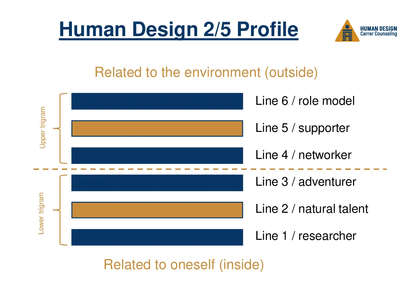 Human Design 2/5 Profile Human Design 2/5 Profile visually explained as a hexagram