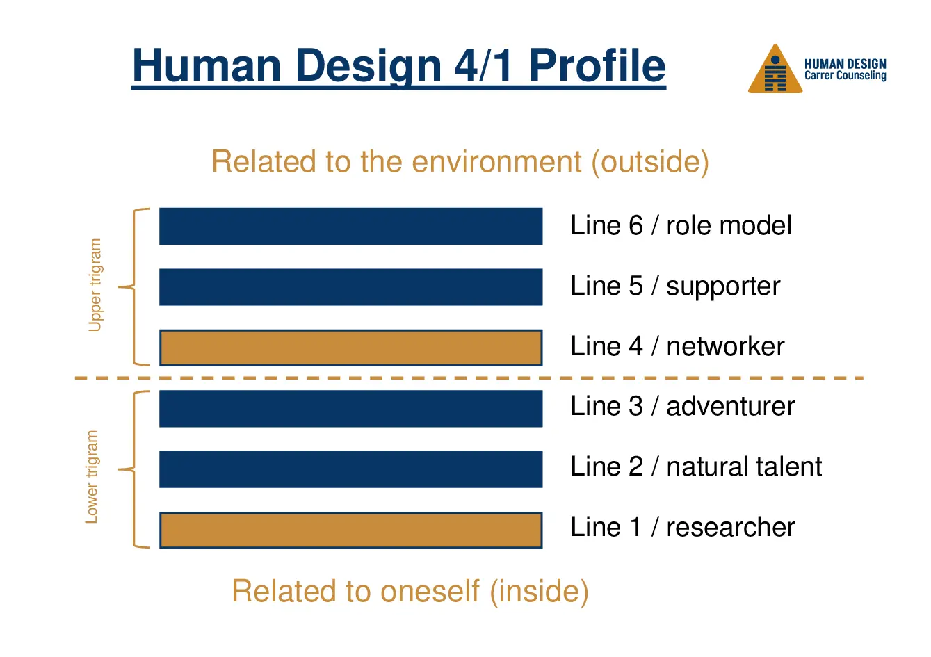 Human Design 4/1 Profile Human Design 4/1 Profile visually explained as a hexagram