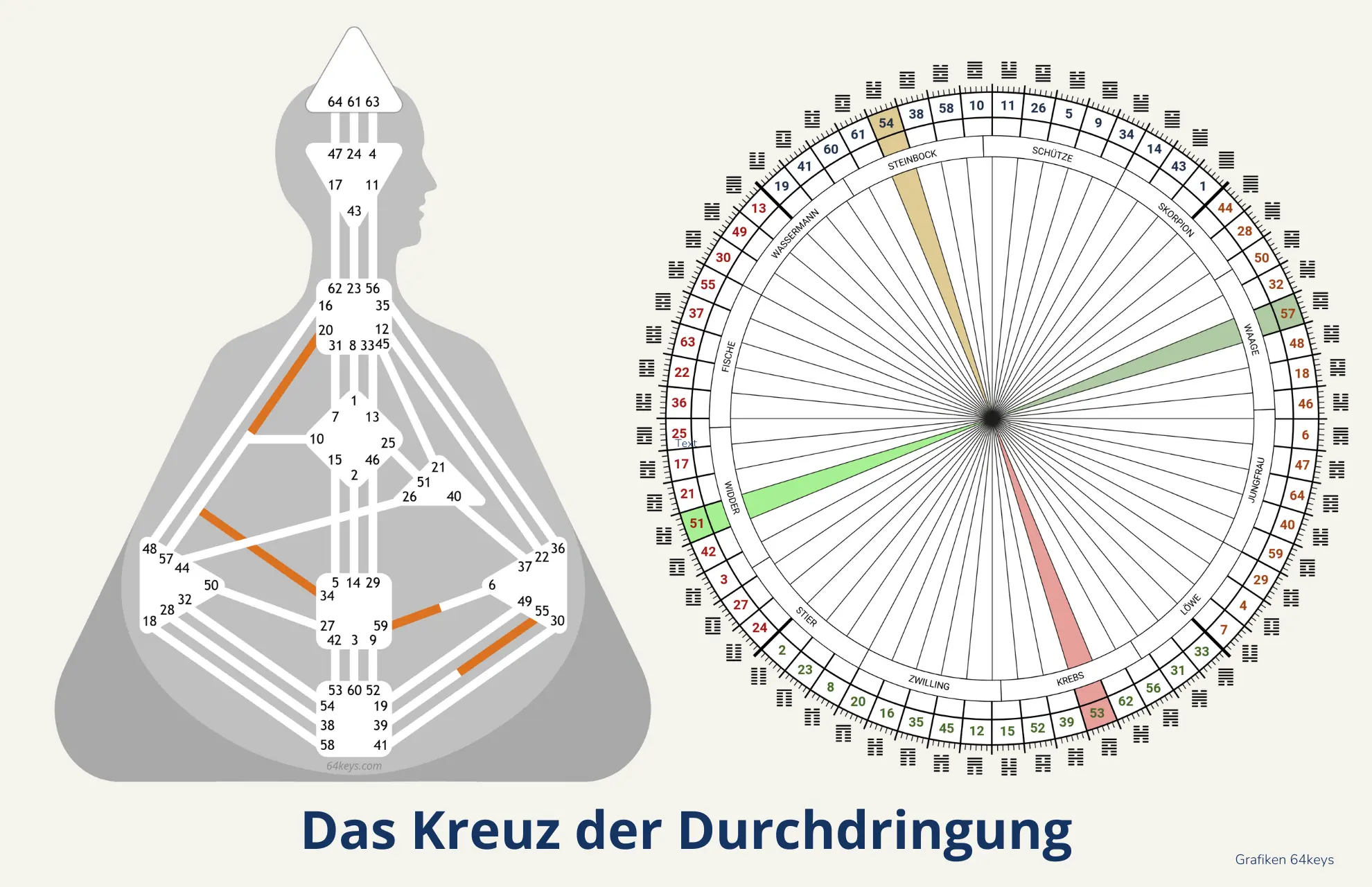 Das Kreuz der Durchdringung Human Design 2027 Kreuz der Durchdringung neue Ära Tor 54 53 57 51