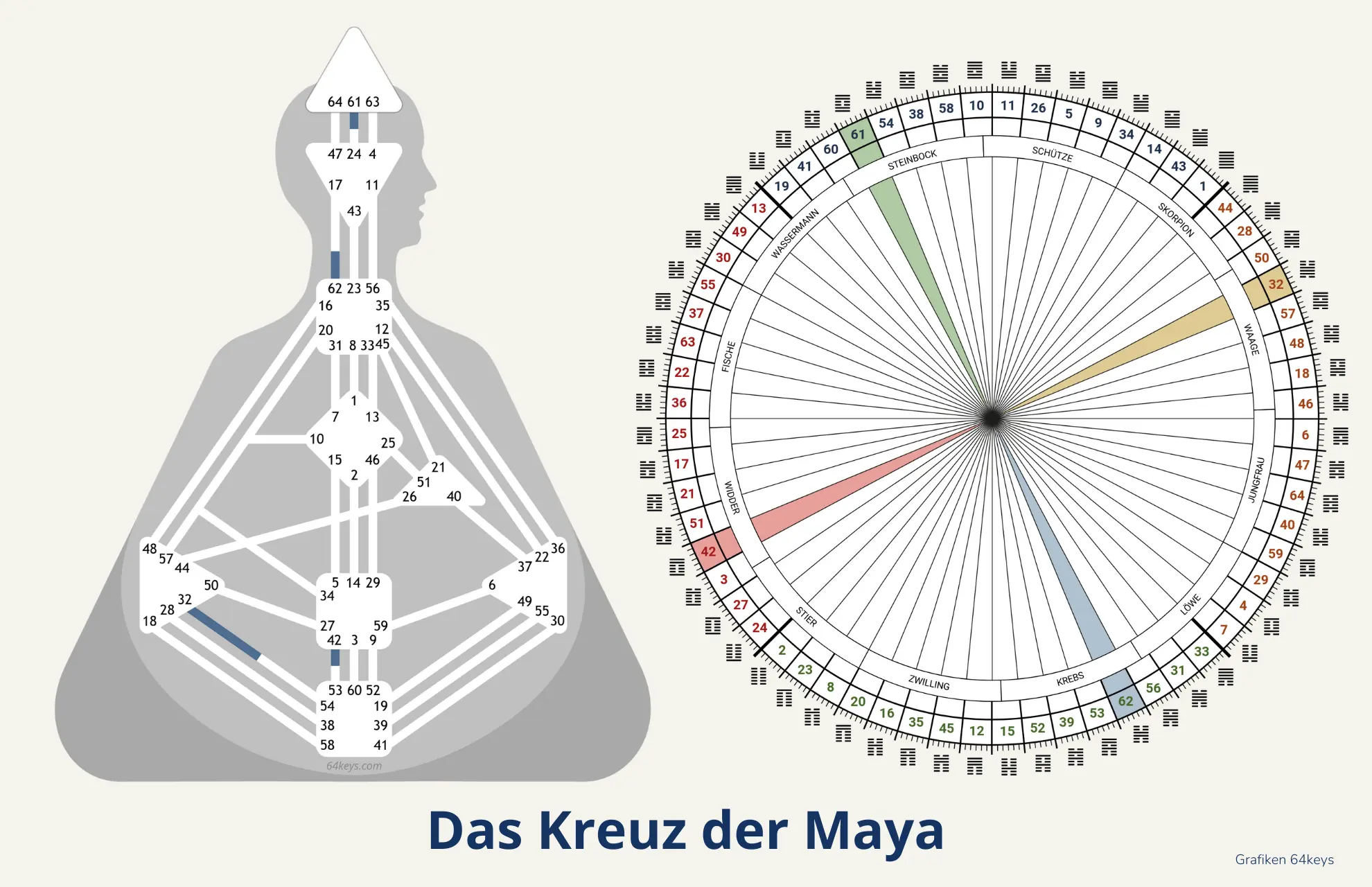 Das Kreuz der Maya Human Design Kreuz der Maya 2027 Zeitenwende Tor 61 62 32 42 Wirtschaft