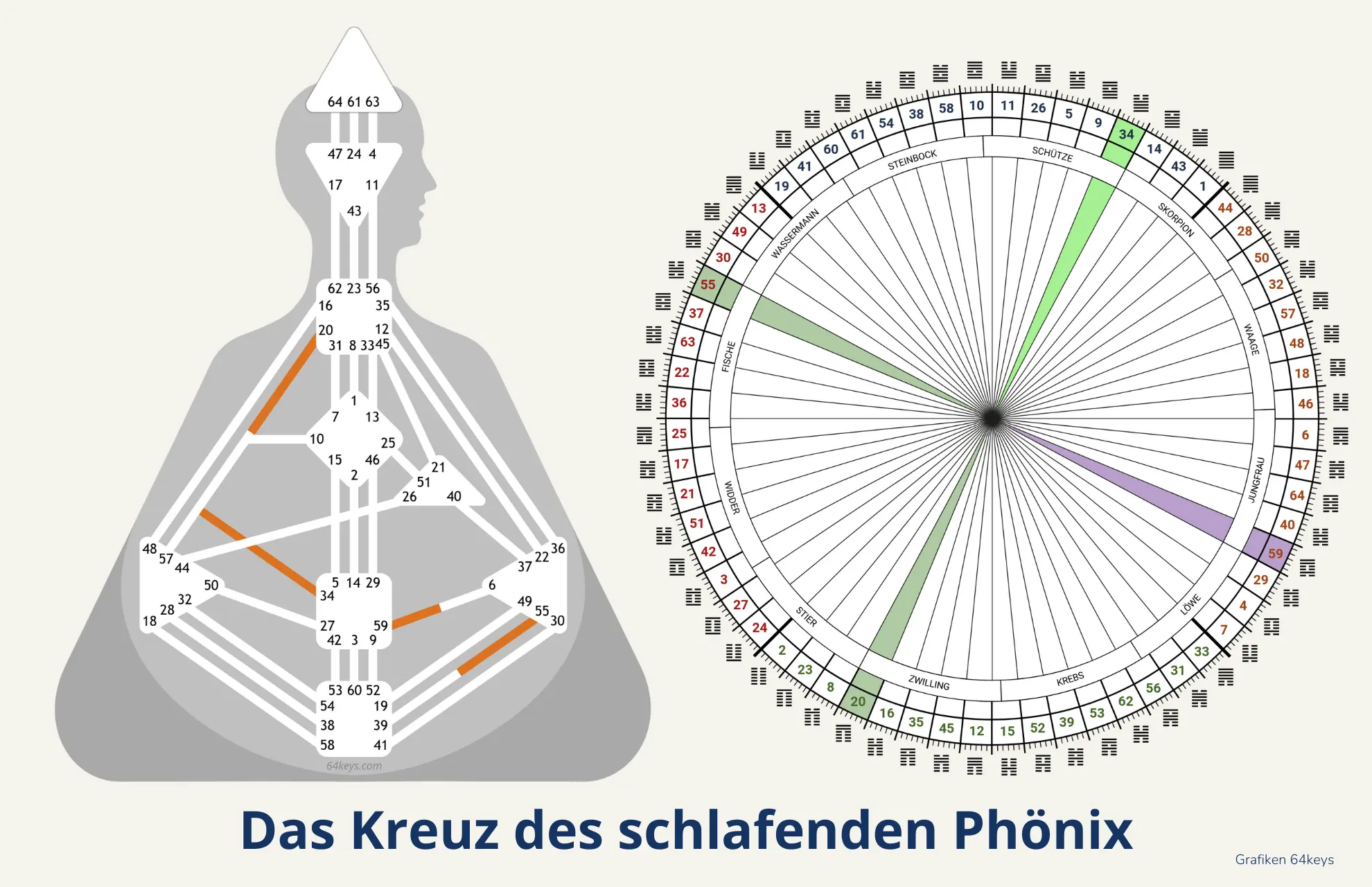 Das Kreuz des schlafenden Phönix Was passiert 2027 Kreuz des schlafenden Phönix Human Design Tor 55 59 34 20
