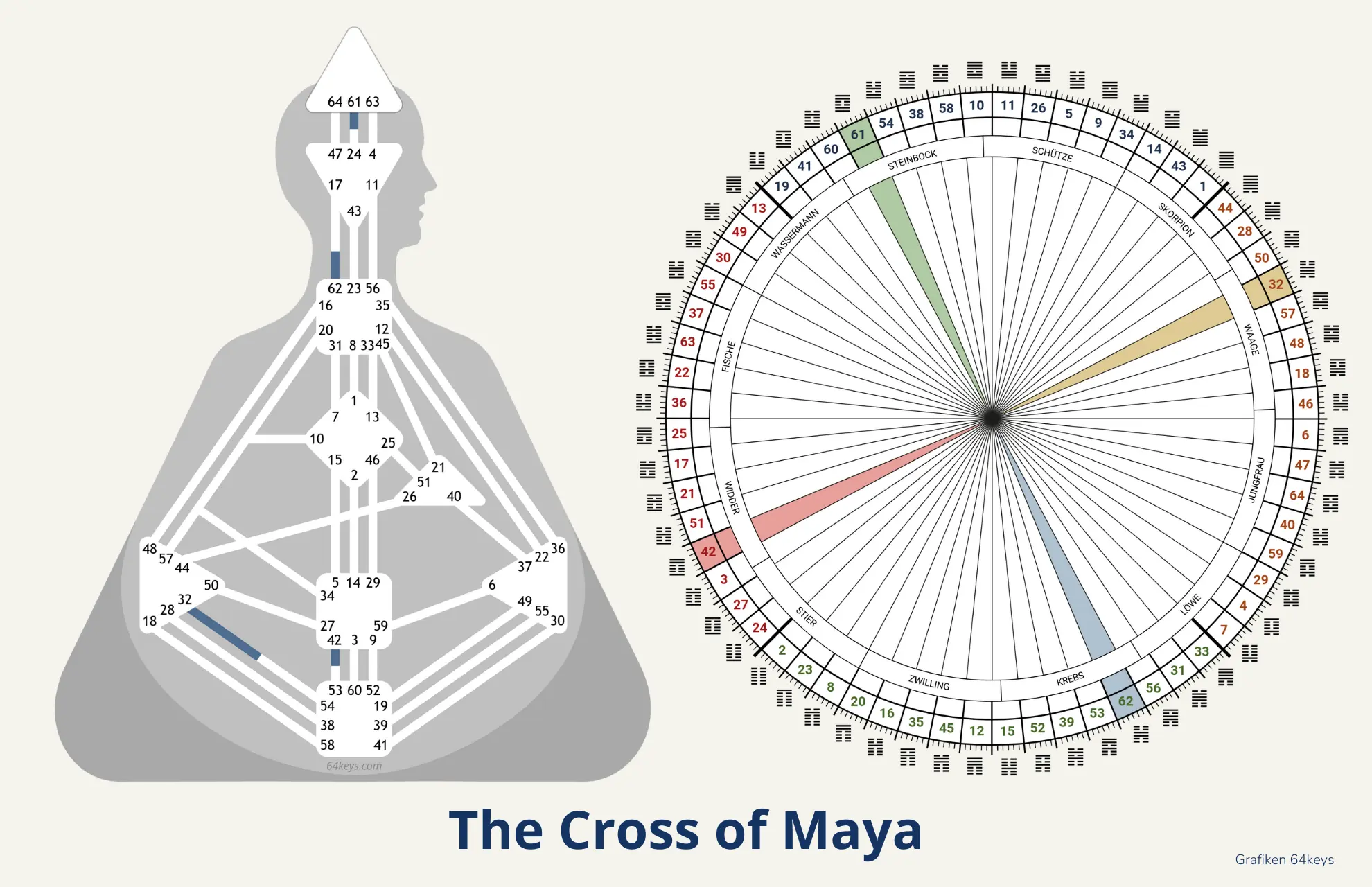 The Cross of Maya Human Design Mayan Cross 2027 Turning point Gate 61 62 32 42 Economy