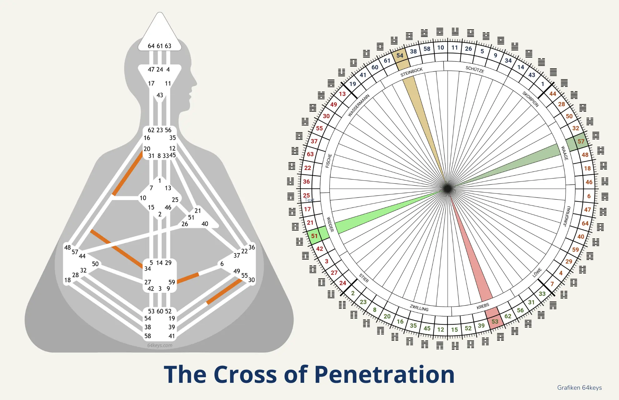 The Cross of Penetration Human Design 2027 Cross of penetration new era Gate 54 53 57 51