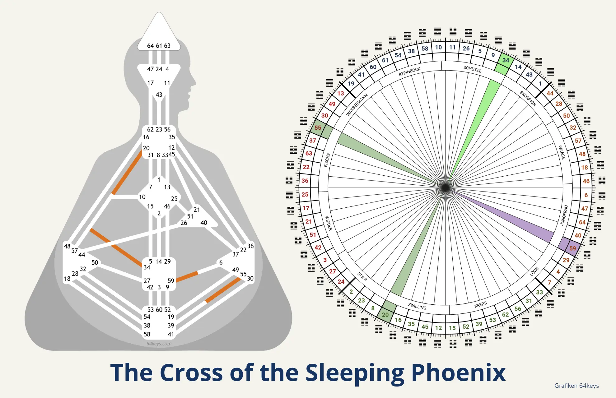 The Cross of the Sleeping Phoenix What happens in 2027 Cross of the Sleeping Phoenix Human Design Gate 55 59 34 20