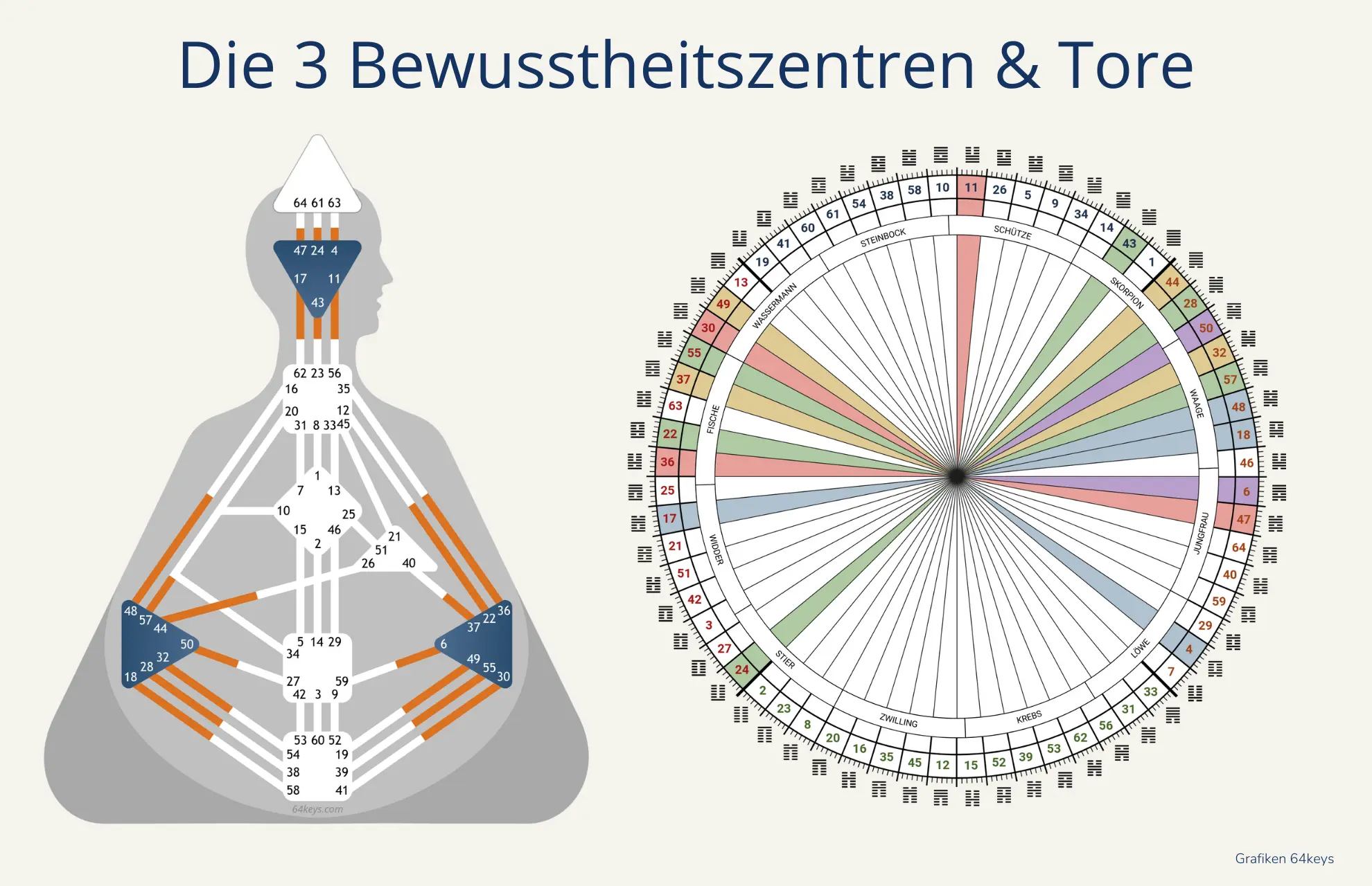 Bewusstheitszentren & Tore Bewusstheitszentren & Tore