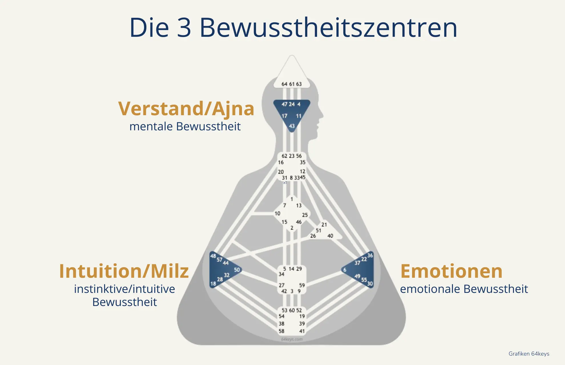 Bewusstheitszentren Ajna, Milz, Emotionen Bewusstheitszentren Ajna, Milz, Emotionen