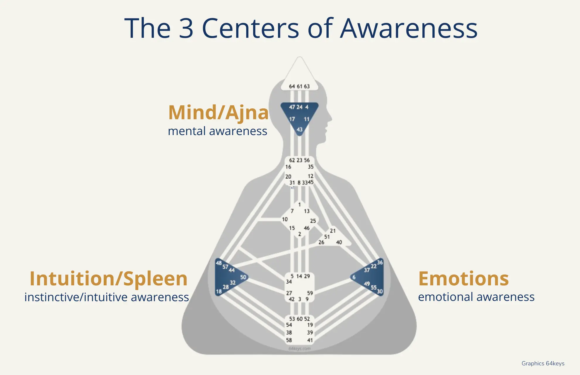 Consciousness centers Ajna, Spleen, Emotions
