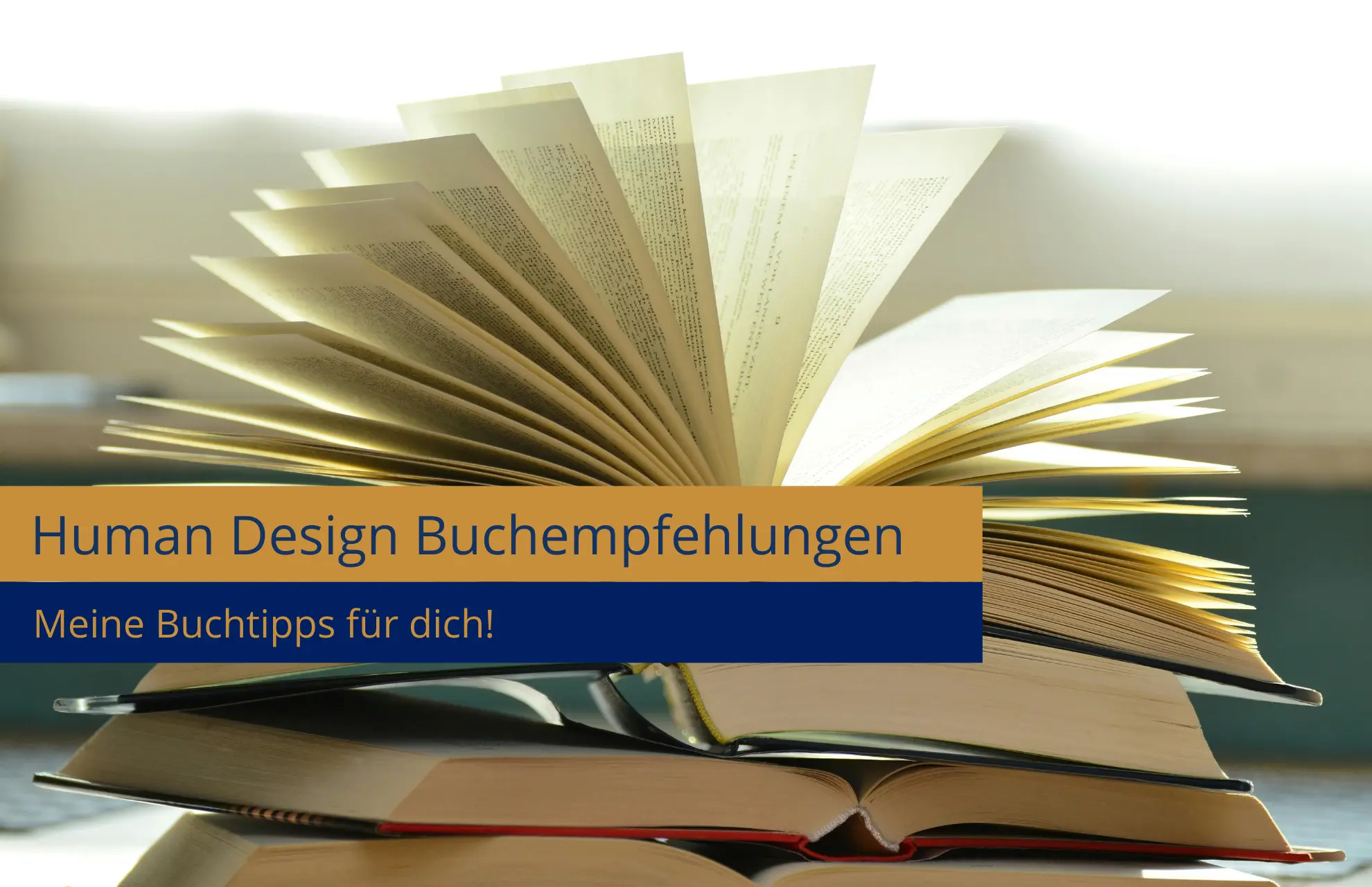 Human Design Buchempfehlung Human Design Buchempfehlung