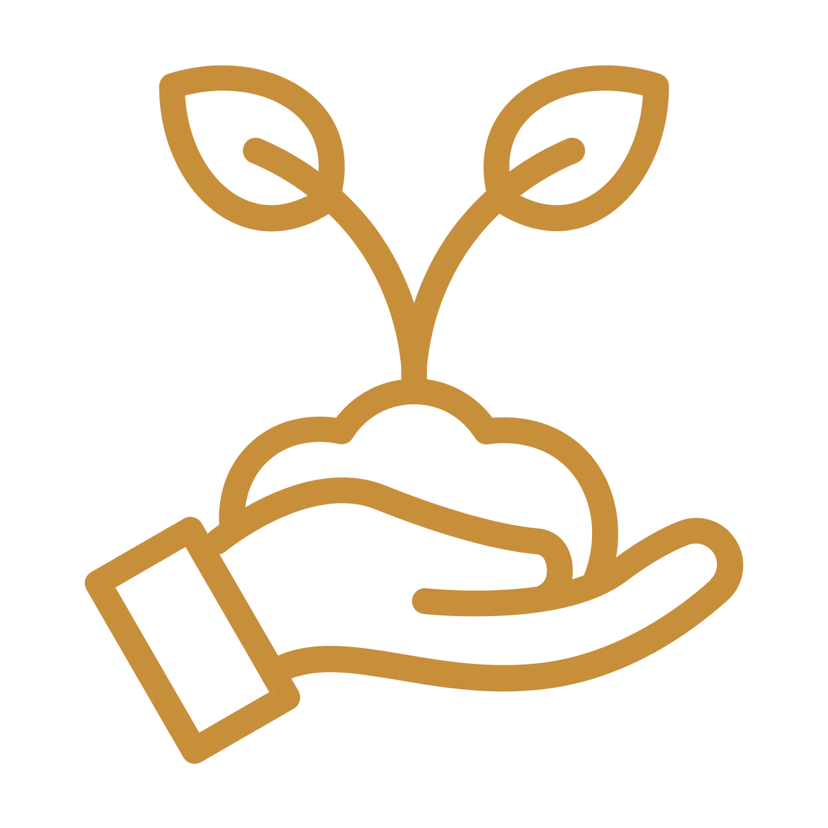 Human Design Business Consulting Pflanze steht für Wachstum